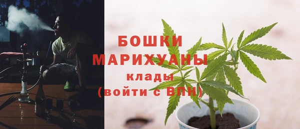 амф Ладушкин