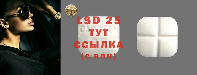 spice Лихославль