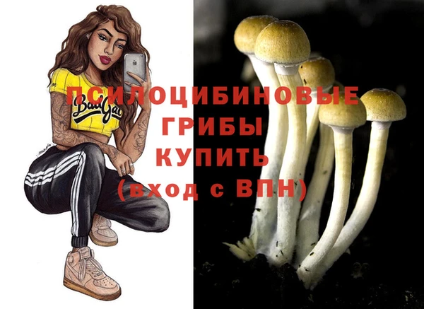 амф Ладушкин
