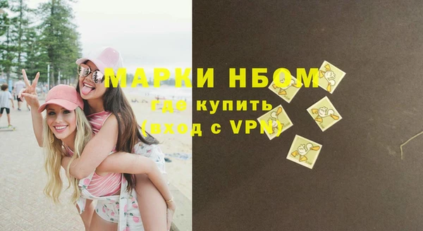 амф Ладушкин