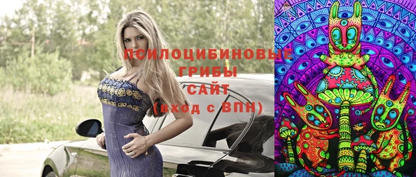 амф Ладушкин