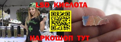 не бодяженный Гай