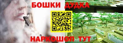 прущие крисы Гатчина