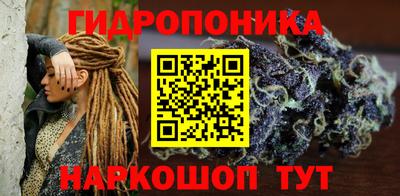 не бодяженный Гай