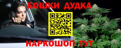 прущие крисы Гатчина