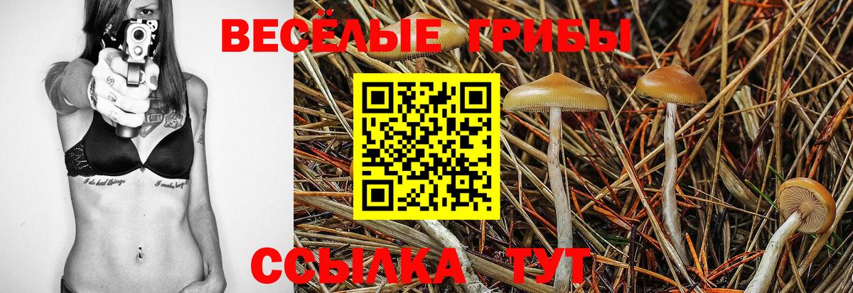 Псилоцибиновые грибы мухоморы  Вход с VPN  Псилоцибиновые грибы MAGIC MUSHROOMS  Дюртюли 