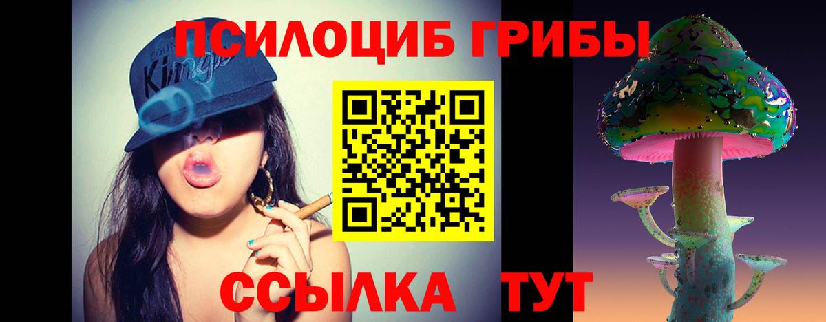 Галлюциногенные грибы Cubensis Дюртюли